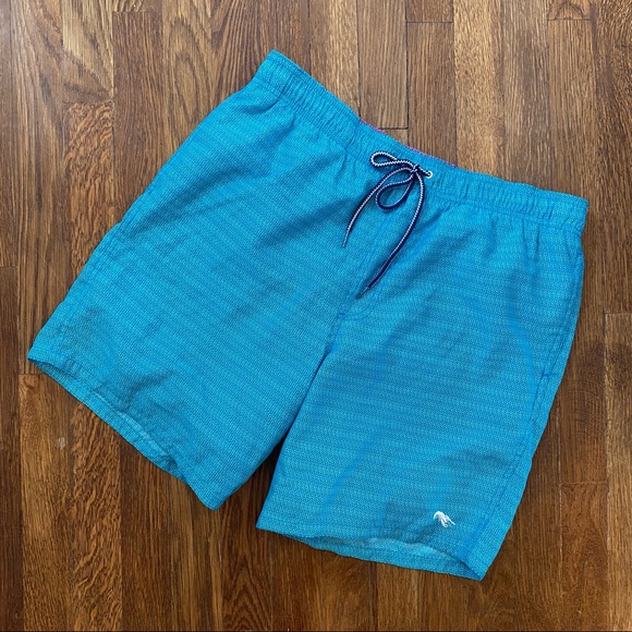 Ted Baker Other - Ted Baker Teal Swim Trunks